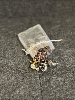 Mystery Clip On Earring Jewelry Bag
